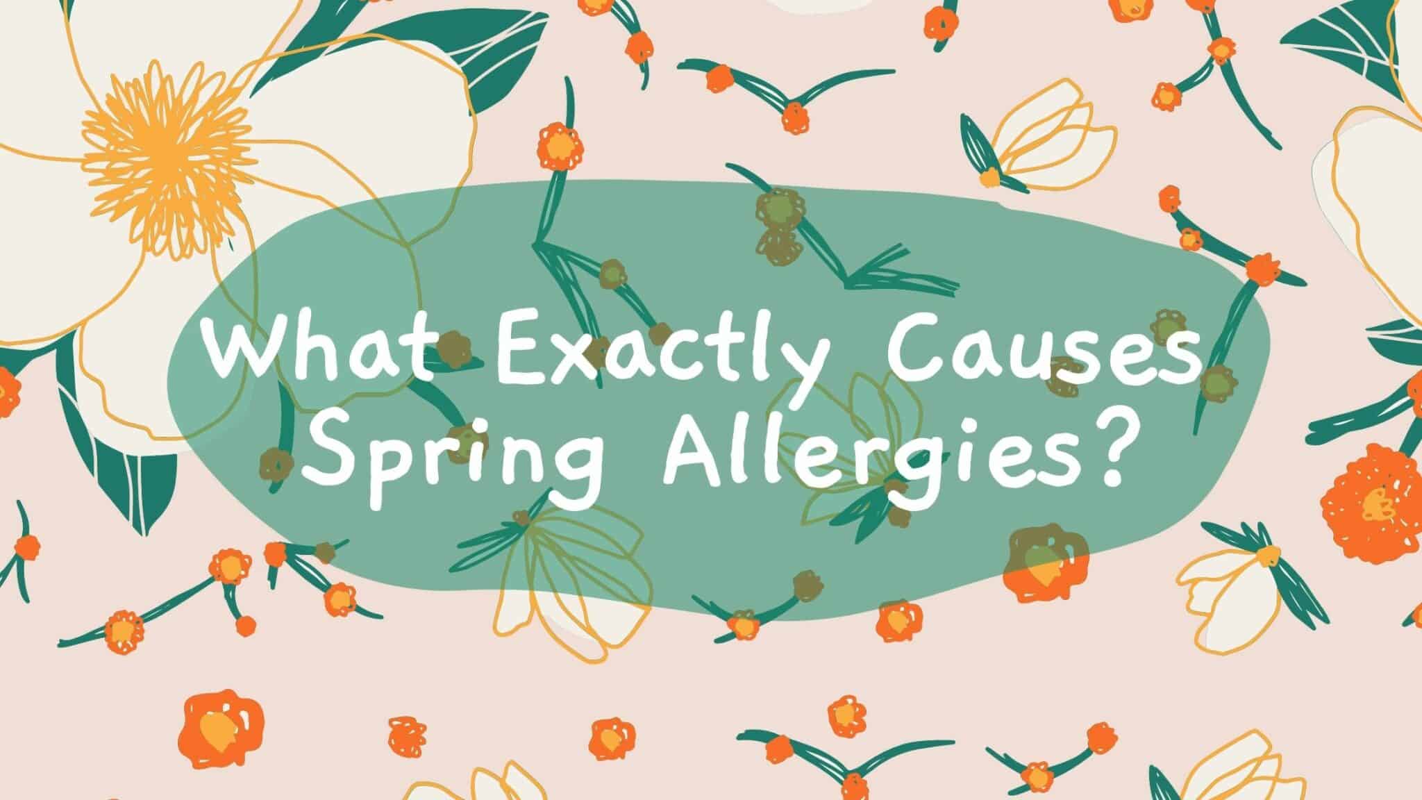 What Exactly Causes Spring Allergies? Specialty Physician Associates