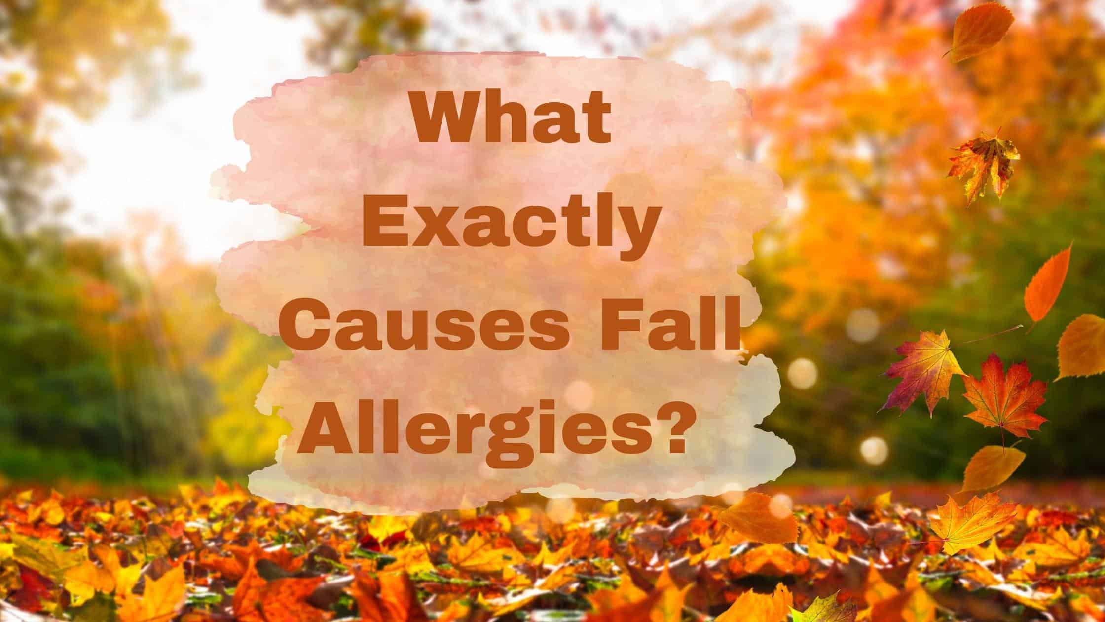 What Exactly Causes Fall Allergies? Specialty Physician Associates